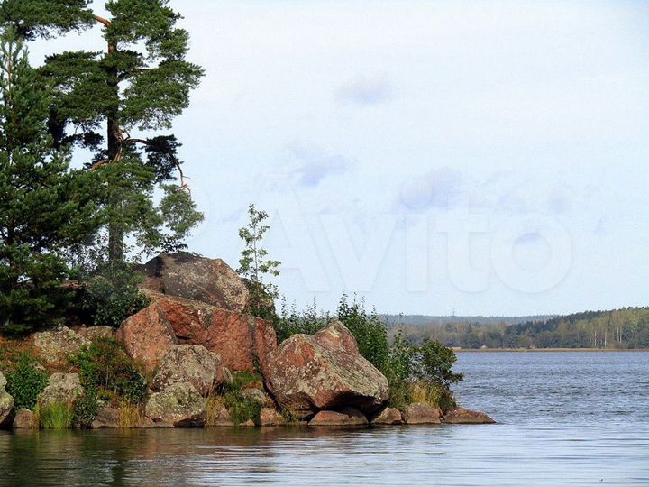 Участок 3,98 га (ИЖС)