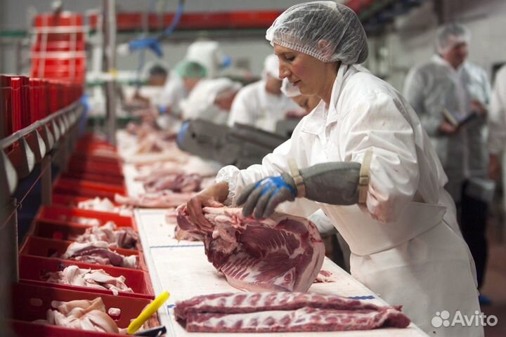 Рабочий на линии - Вахта в Пензе