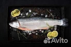 Семга,Лосось