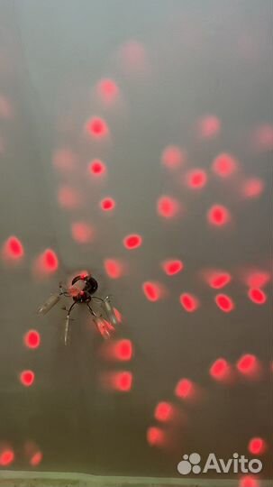 Светомузыка