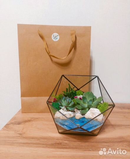 Флорариум, подарок на 8 марта