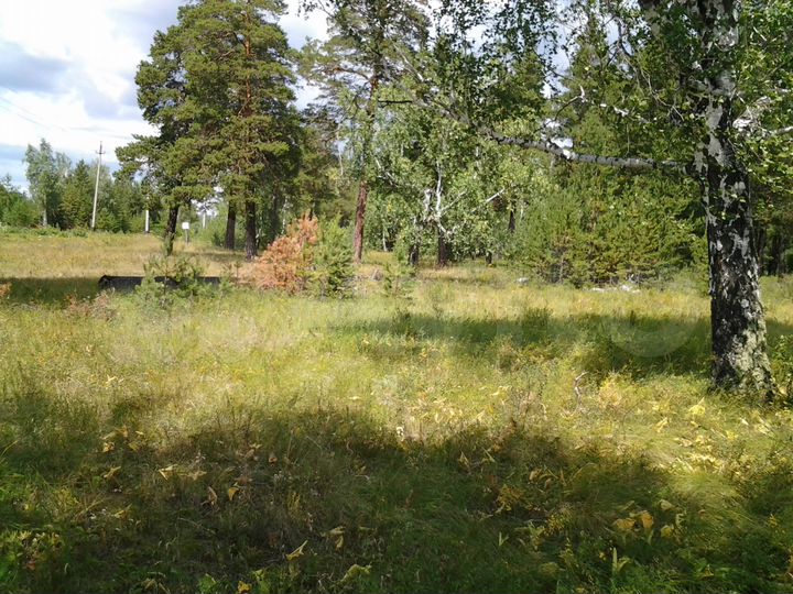 Участок 25 сот. (ИЖС)