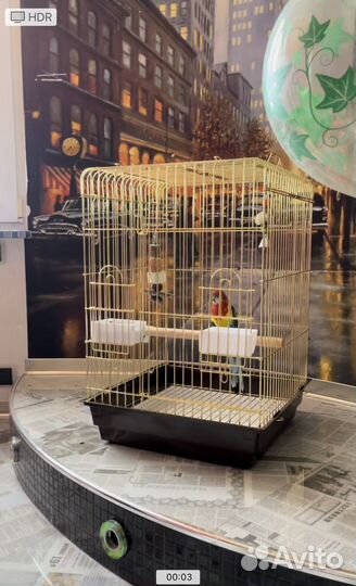 Клетка для попугая