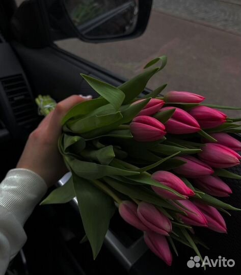 Тюльпаны на праздники оптом