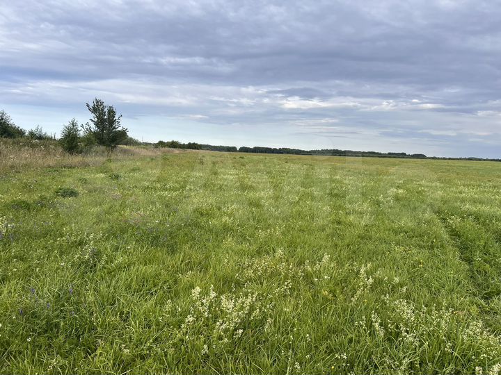 Участок 6 га (СНТ, ДНП)