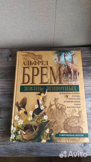 Альфред Брем 