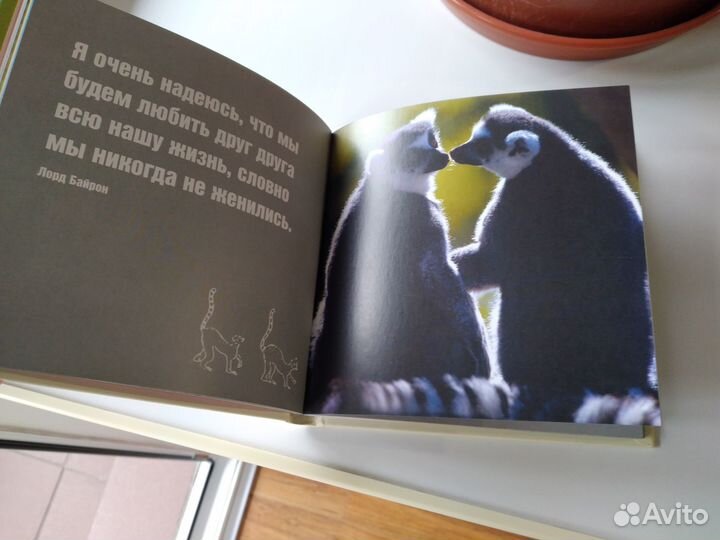 Книга о любви в картинках