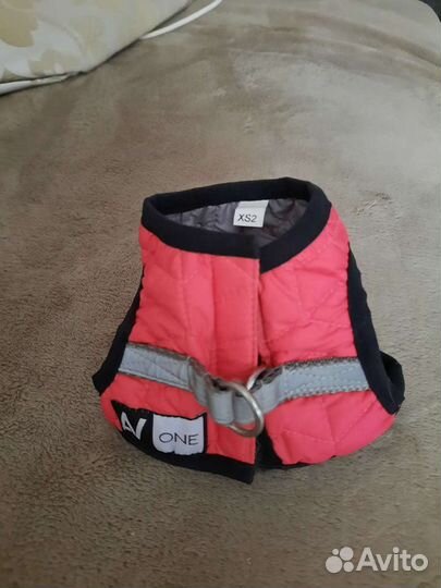 Шлейка для маленькой собачки