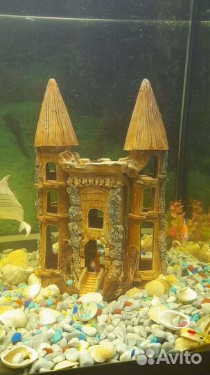 Аквариум с тумбой 240