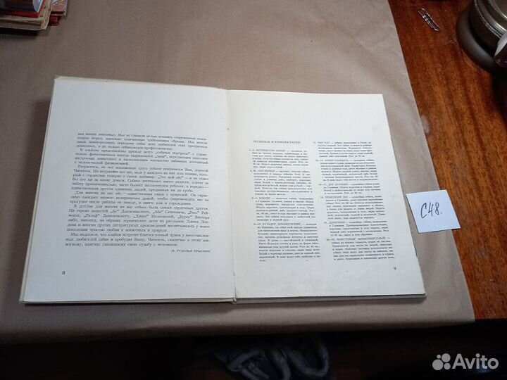 Мой пес Вдовинский Здислав