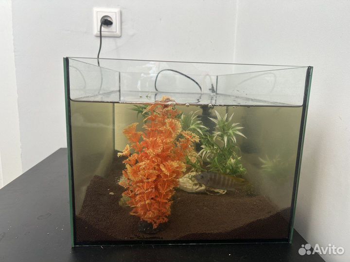 Аквариум 50 литров со всем