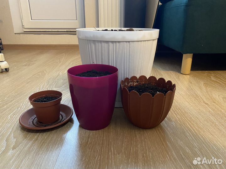 Горшки для цветов