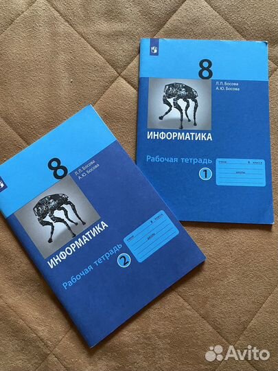 Рабочая тетрадь по информатике в 2 частях