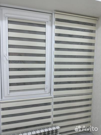 День и ночь Зебра