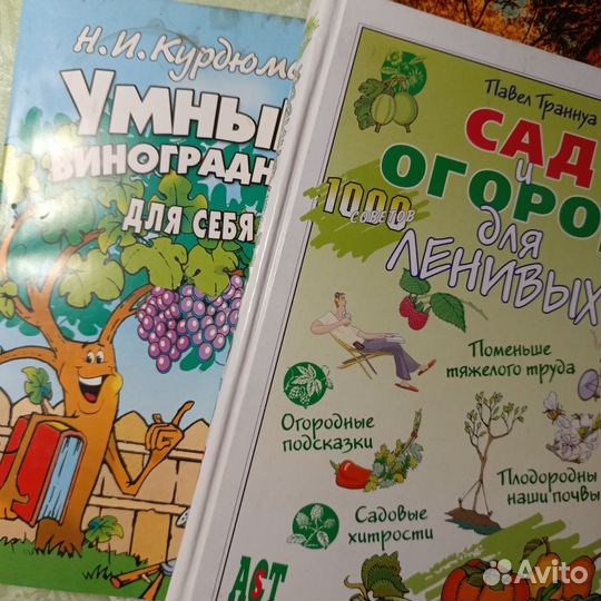 Умный виноградник для себя Курдюмов Н.И