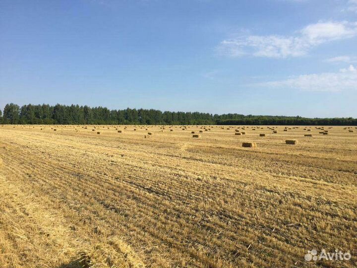 Солома в тюках