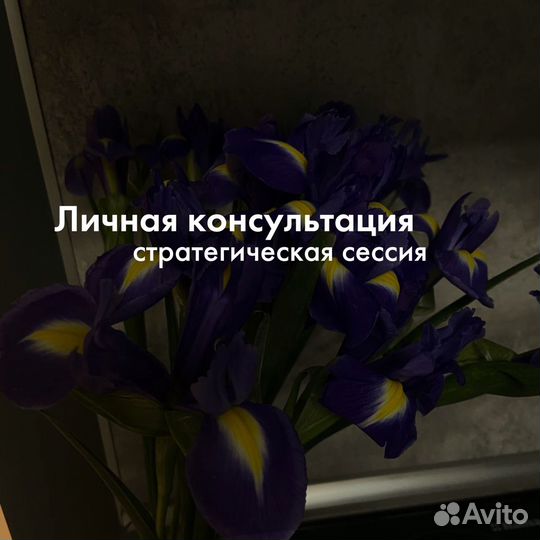 Консультация маркетолога