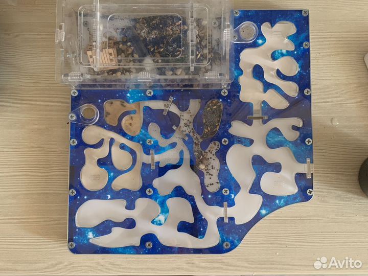 Муравьиная Ферма бу