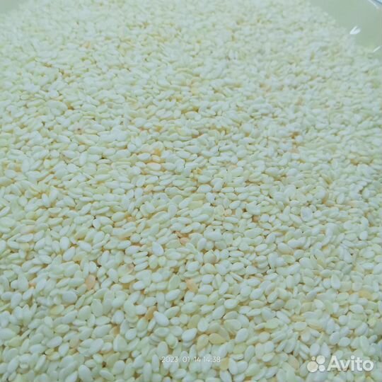 Семена кунжута