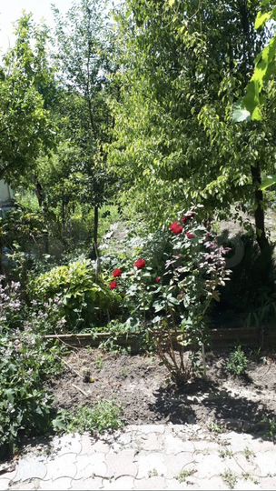 Дом 83,5 м² на участке 20 сот.