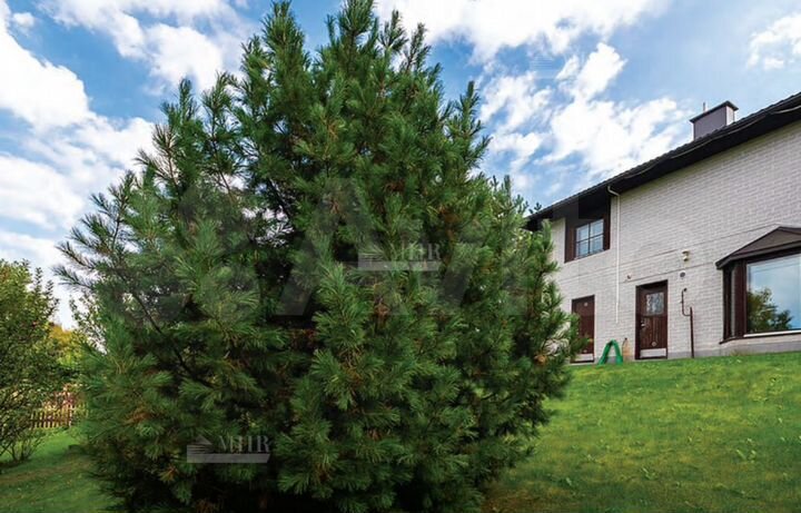Дом 170 м² на участке 26 сот.
