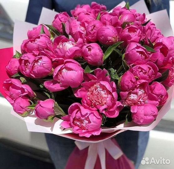 Пионы Букет пионов