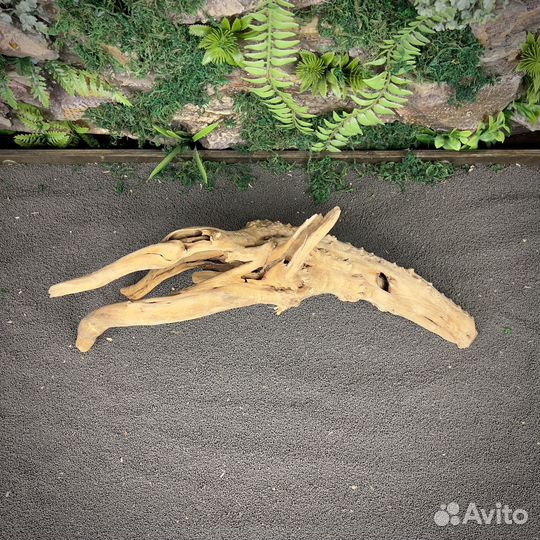 Коряга для аквариума Корень Азалии (нк443)