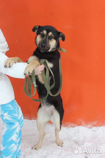 Малютка Рут не выживет зимой