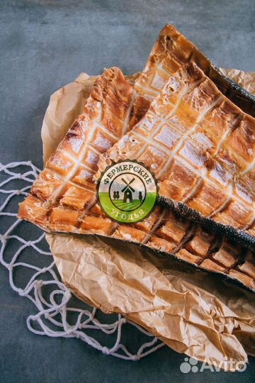 Рыба северная Язь Щука Щекур Мохтик Лещ Сырок