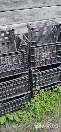 Пластиковые ящики для хранения бу