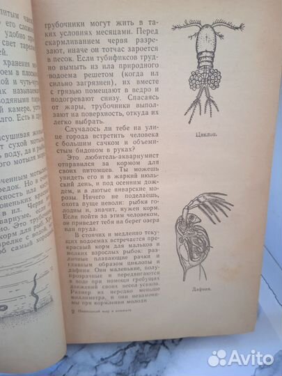 Книга про аквариум