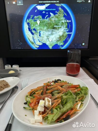 Суточные платиновые ваучеры Аэрофлота