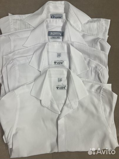 Рубашки школа tugi, LD