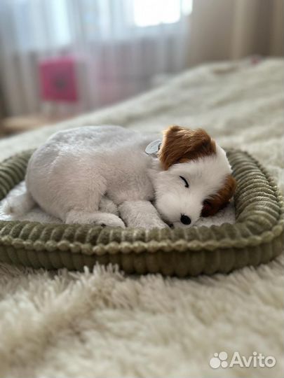 Щенок Perfect Petzzz