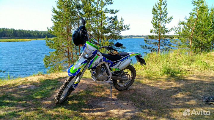 Avantis FX 250 basic