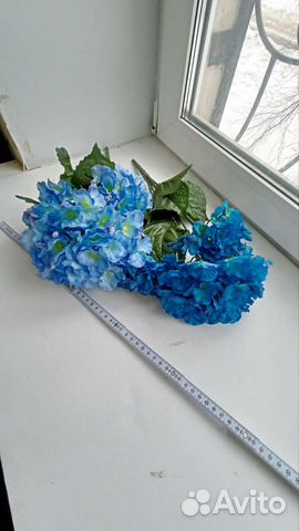 Декоративная гортензия