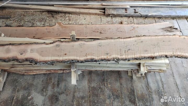 Слэб дуба и тополь