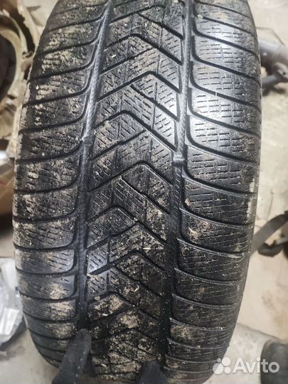 Pirelli Scorpion Winter 255/45 R20 105V