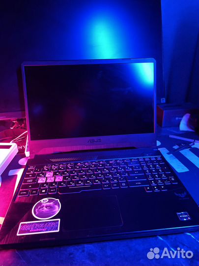 Игровой ноутбук Asus TUF FX505DD-BQ159T