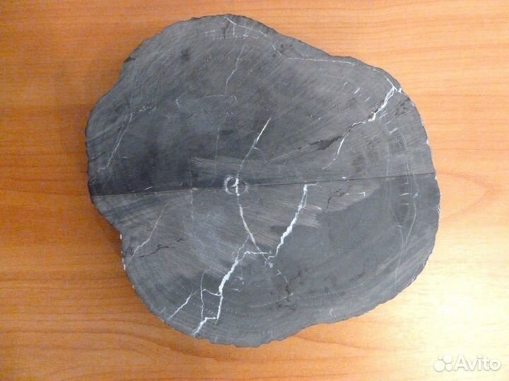 Окаменелое дерево 4 кг, Палеозой