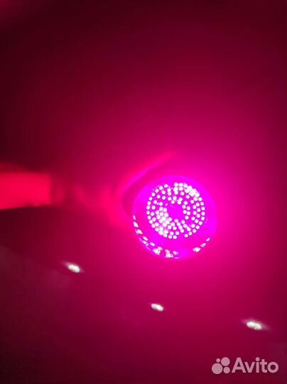 Фито лампа для растений