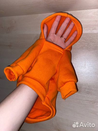 Одежда для животных