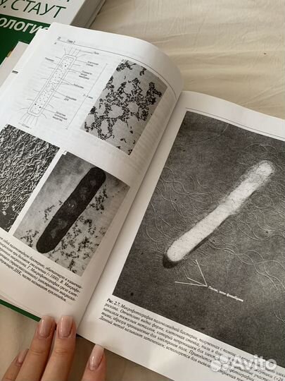 Биология в 3-х томах. Тейлор, Грин и Стаут