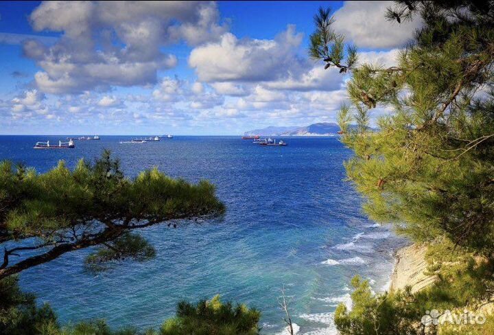 Отдых в Геленджике на Чёрном море