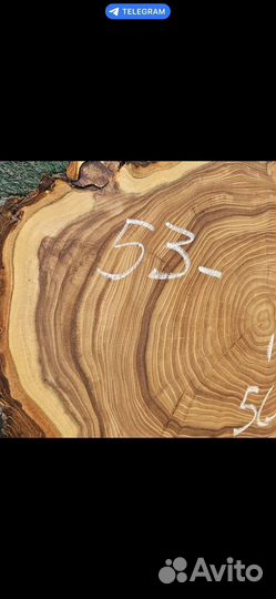 Спил слэб карагач