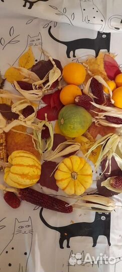 Сухоцветы для флористики