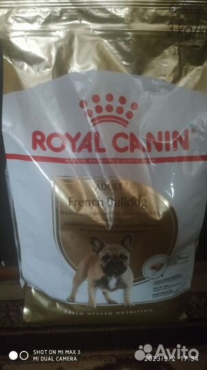 Сухой корм для собак