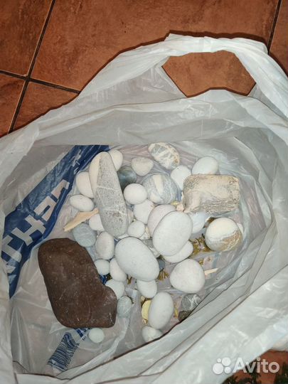 Аквариумное растение, камни, коряги