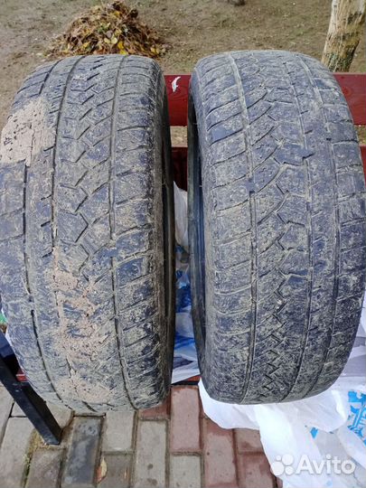 Accelera Iota 195/55 R16