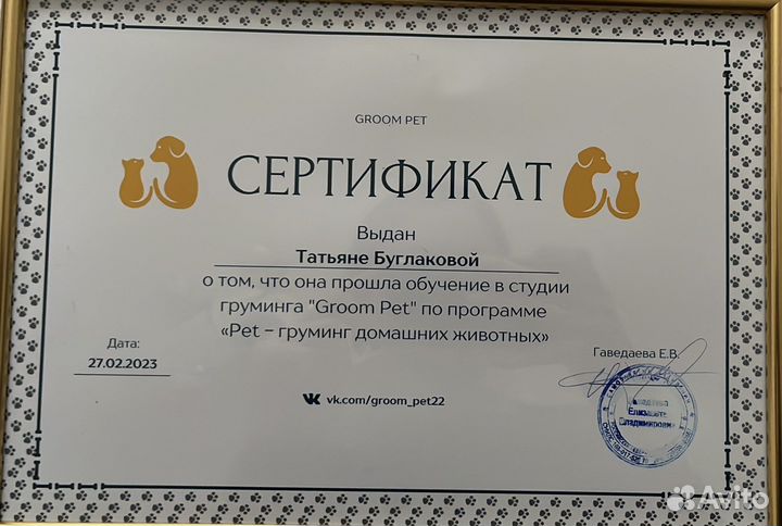 Стрижка собак, груминг сочи